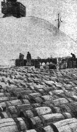 Затаренная в бочки соль перед отправкой на промысле в Северную Атлантику –  ТБОРФ 11 06 1969 фото В. Рубана