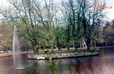 Парк Кадриорг. Лебединый пруд 70-е годы