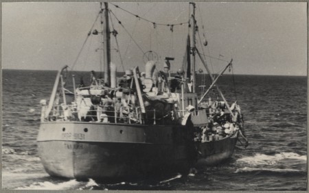 СРТР-9131 Кaлана  идет в порт -1965