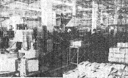 В жестяно-баночном цехе  холодильника  Эстрыбпром – 31 03 1987
