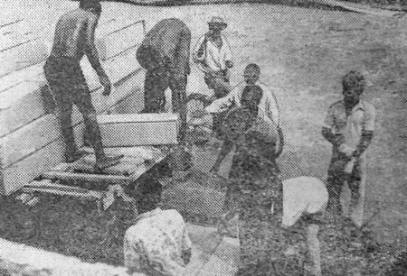 АБИДЖАН. Идет выгрузка рыбопродукции -  ТР Иней 19 06 1973  Фото В. Серга, матроса.