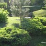 Японский садик  - Кадриорг