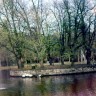 Парк Кадриорг. Лебединый пруд 70-е годы