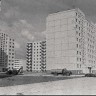 улица Курамаа в Ласнаяэ Вааде  1980